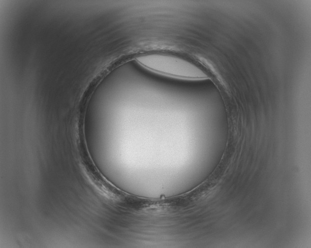 X0000071800447200606301014