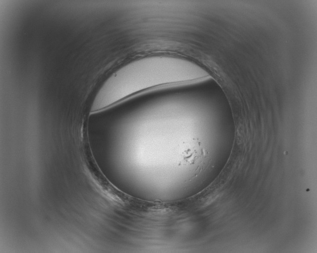 X0000071800454200606301014