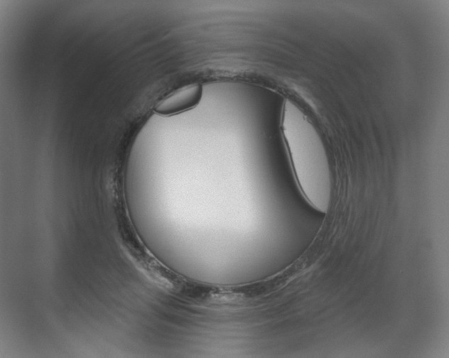 X0000071800455200606301014