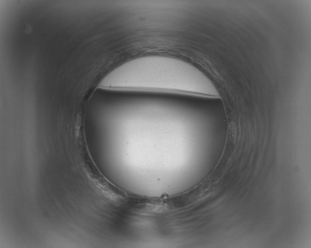 X0000071800458200606301014