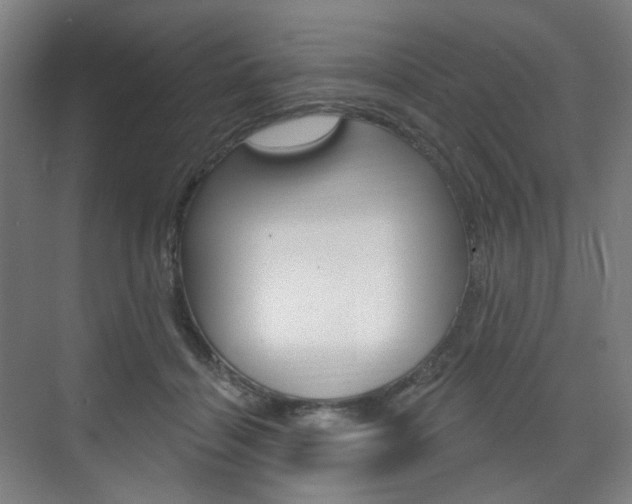 X0000071800460200606301014