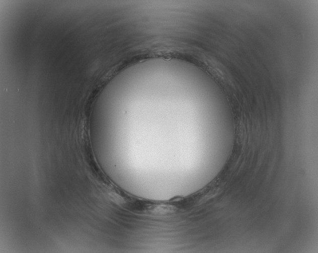 X0000071800463200606301014