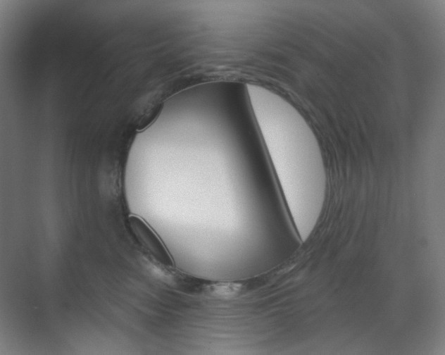 X0000071800474200606301014