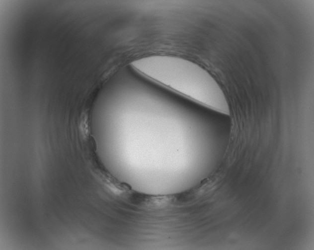 X0000071800479200606301014