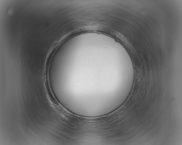 X0000071800486200606301013