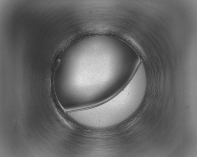 X0000071800493200606301013