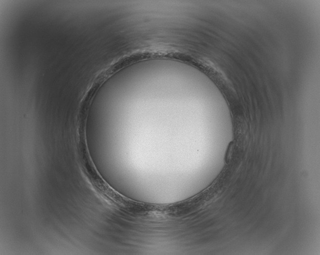 X0000071800496200606301013