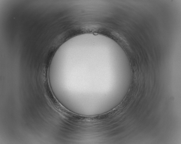 X0000071800498200606301013
