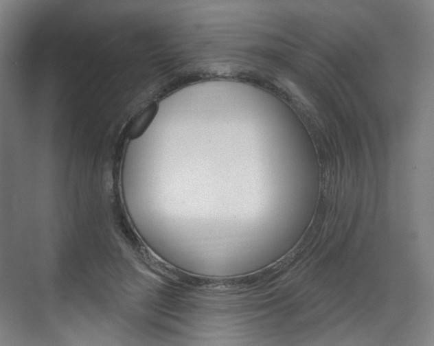 X0000071800500200606301013