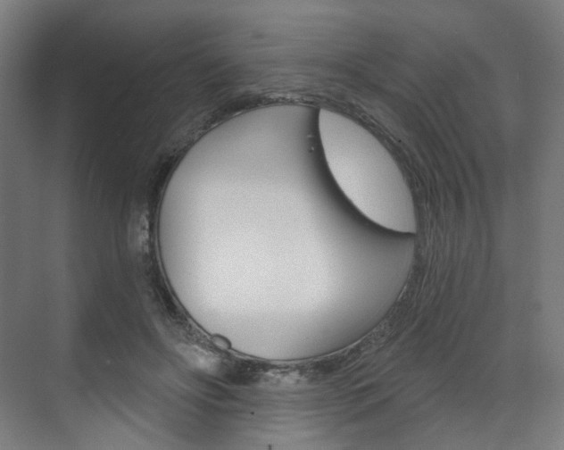 X0000071800502200606301013