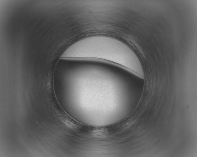 X0000071800505200606301013