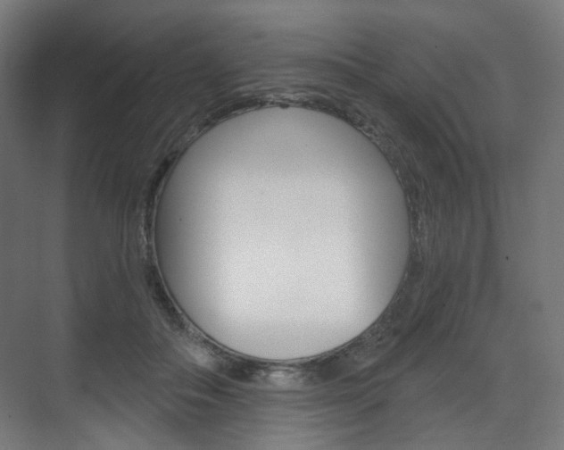 X0000071800506200606301013
