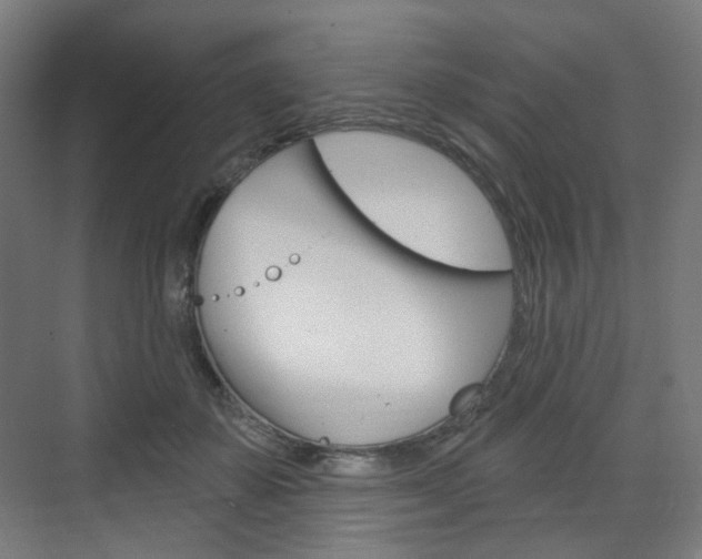 X0000071800507200606301013
