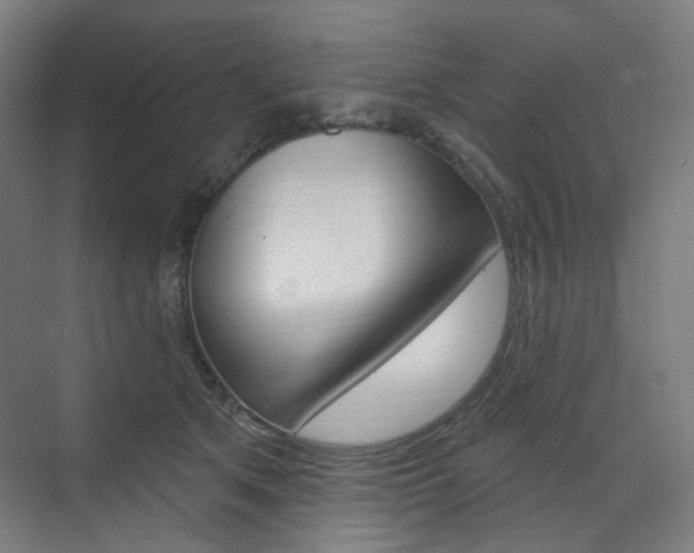 X0000071800513200606301013