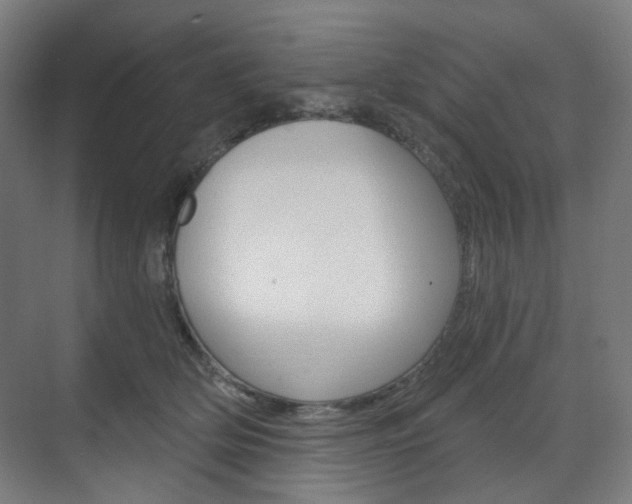 X0000071800514200606301013