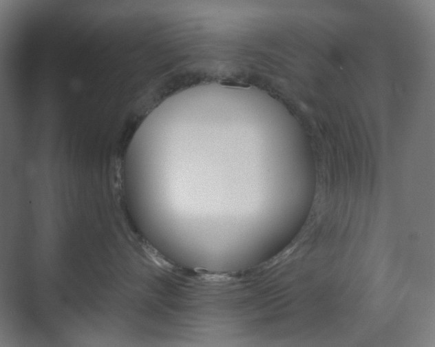 X0000071800528200606301013