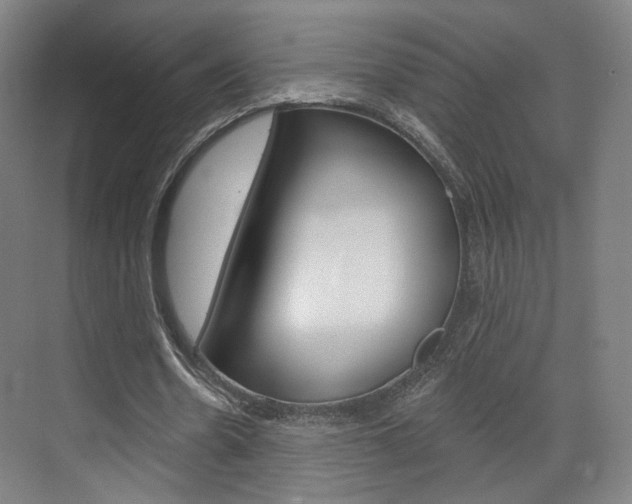 X0000071800530200606301012