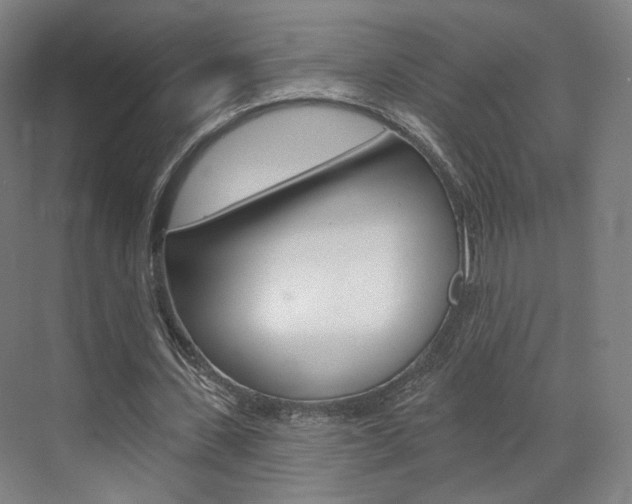 X0000071800531200606301012