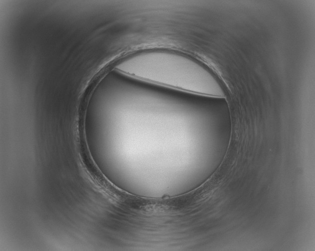 X0000071800535200606301012
