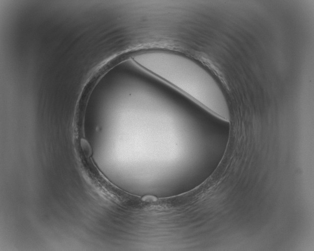 X0000071800536200606301012