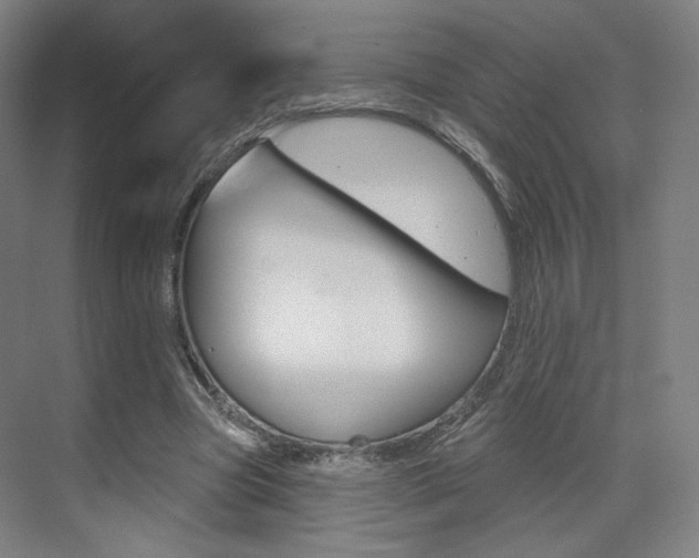 X0000071800537200606301012