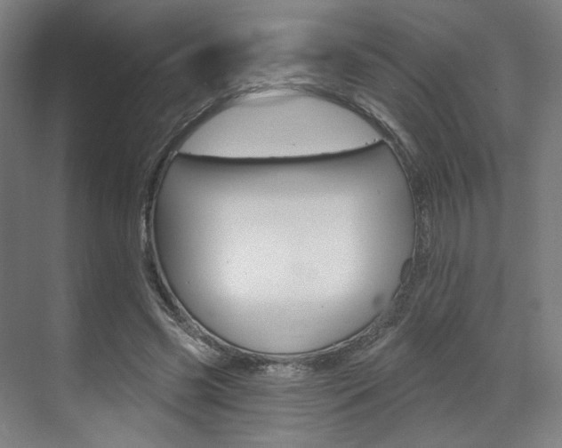 X0000071800541200606301012