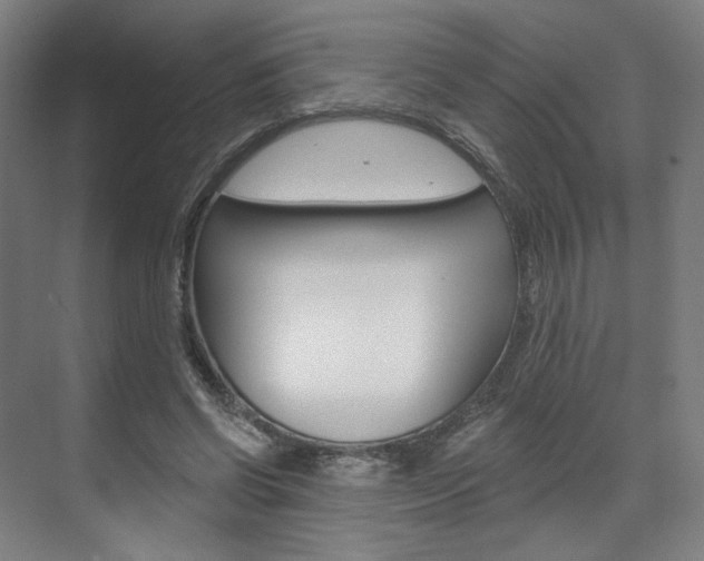 X0000071800542200606301012