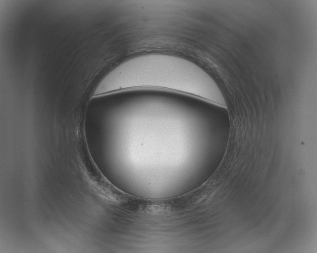 X0000071800546200606301012