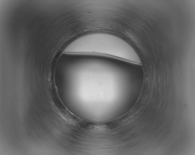 X0000071800548200606301012