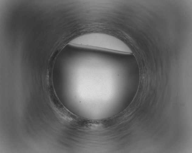 X0000071800552200606301012