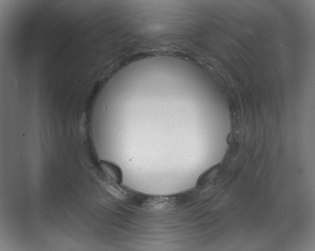 X0000071800563200606301012