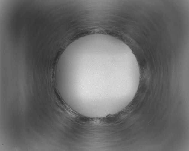 X0000071800565200606301013