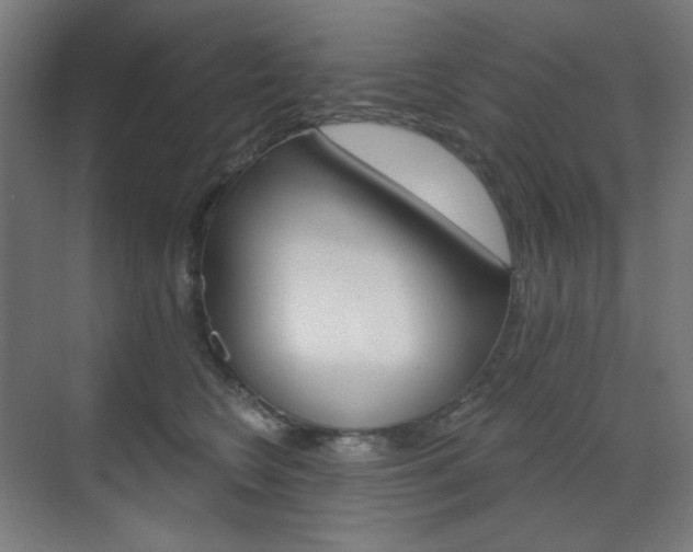 X0000071800566200606301013