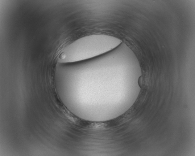 X0000071800569200606301013