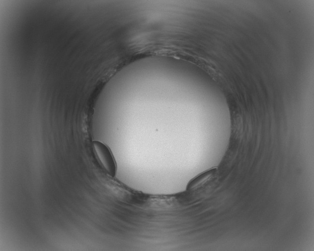X0000071800571200606301013