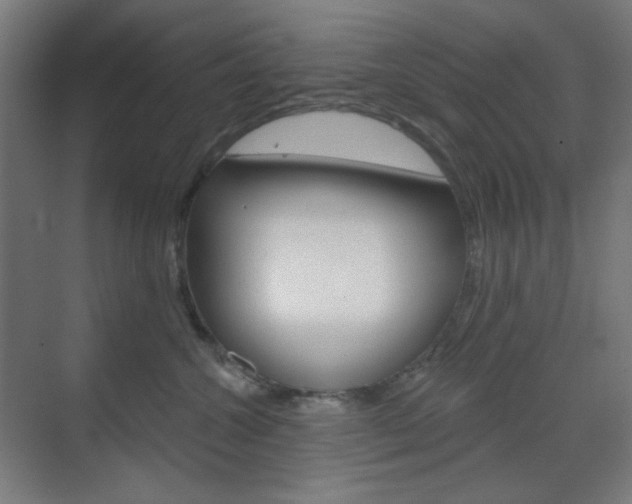 X0000071800572200606301013