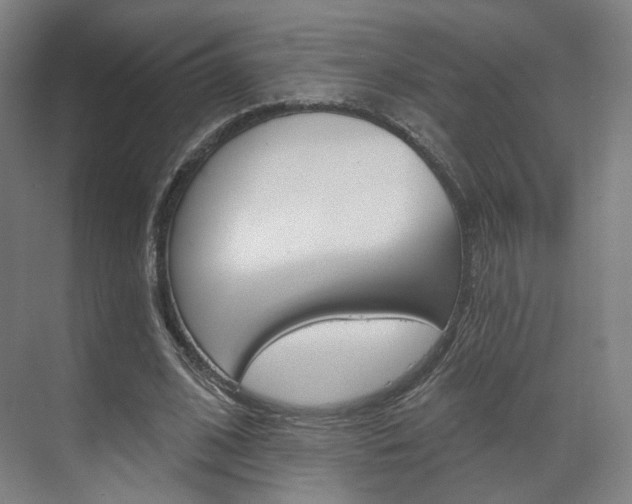 X0000071800584200606301012