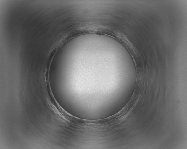 X0000071800585200606301012