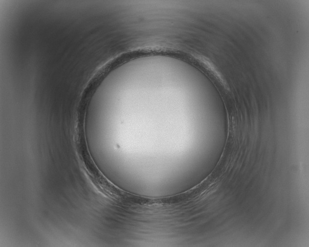X0000071800588200606301012