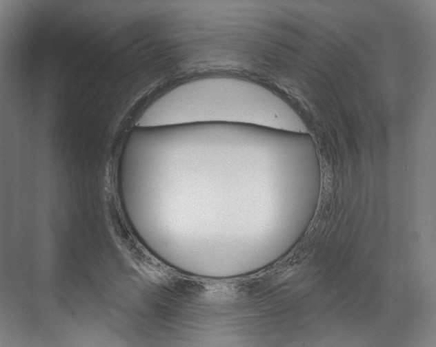 X0000071800591200606301012