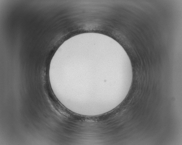 X0000071800592200606301012