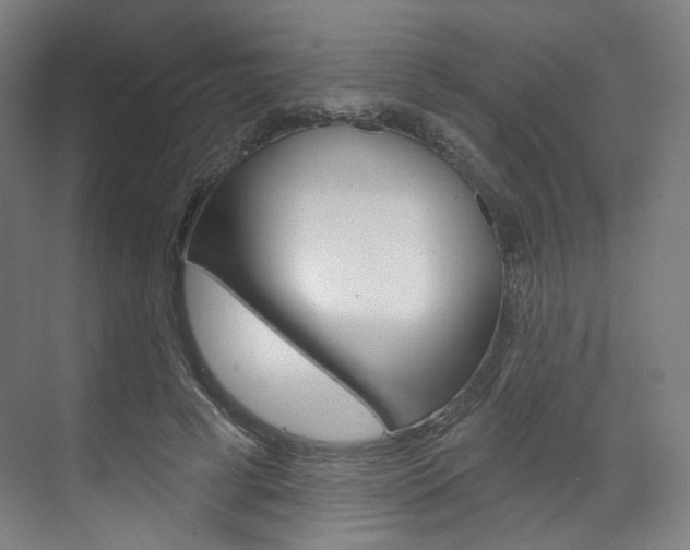 X0000071800593200606301012