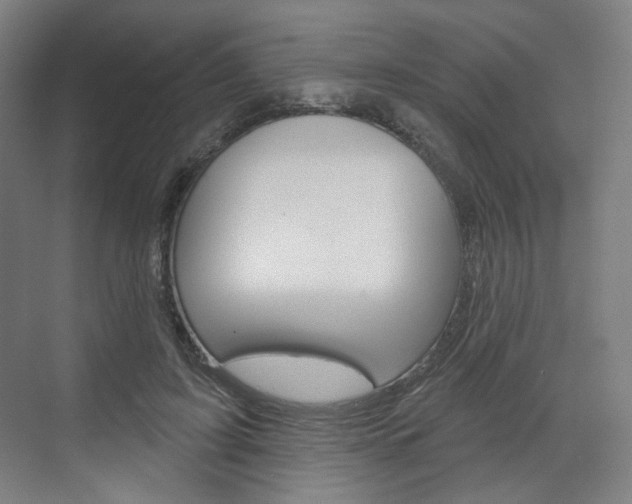 X0000071800595200606301012