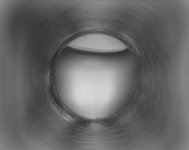 X0000071800596200606301012