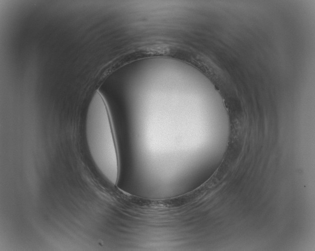 X0000071800600200606301012