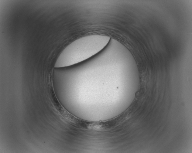 X0000071800602200606301011