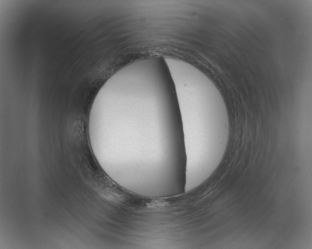 X0000071800603200606301011