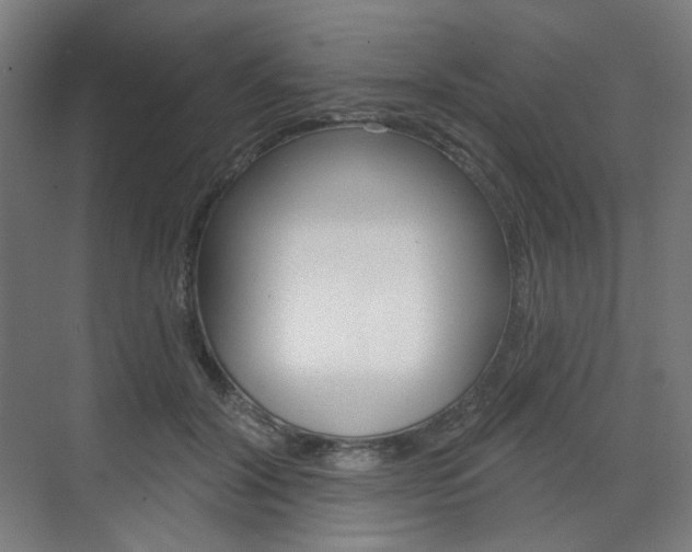 X0000071800604200606301011