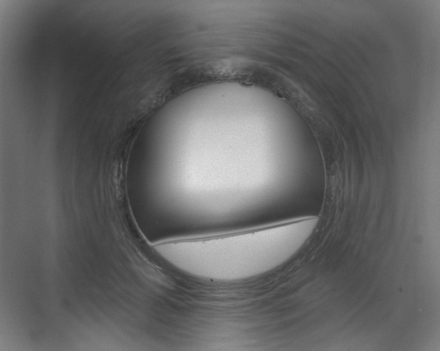 X0000071800605200606301011