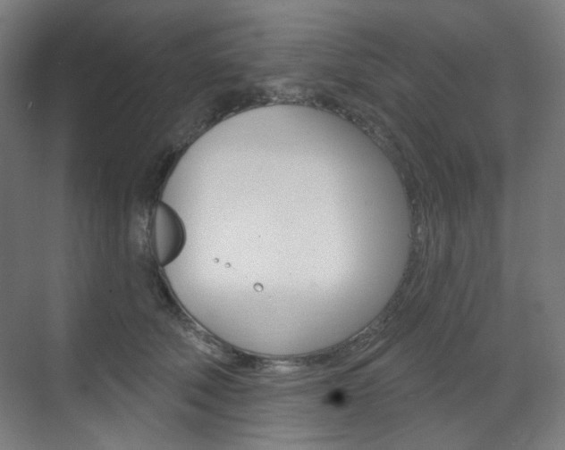 X0000071800610200606301011